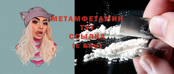 сатива Няндома