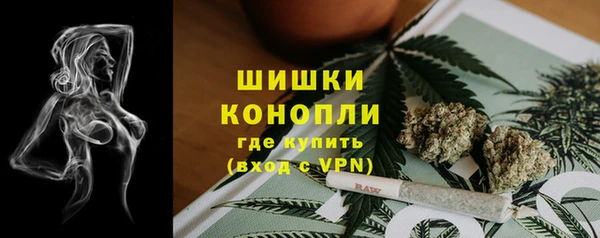 молекула духа Нязепетровск