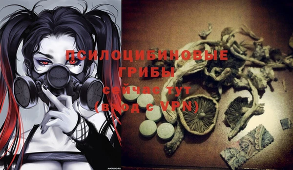 сатива Няндома
