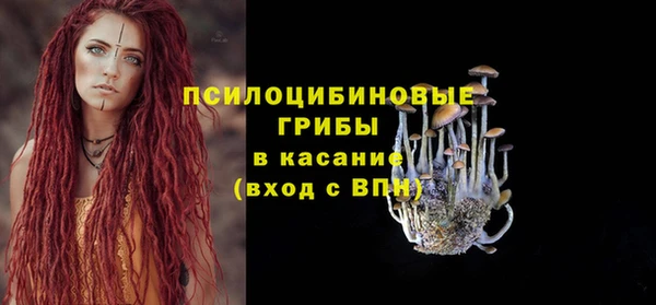 сатива Няндома