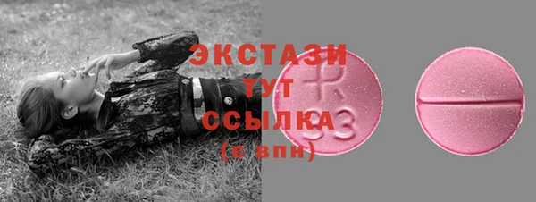 сатива Няндома