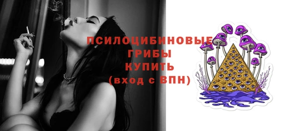 молекула духа Нязепетровск