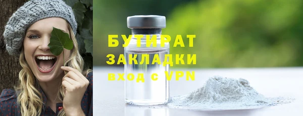 сатива Няндома