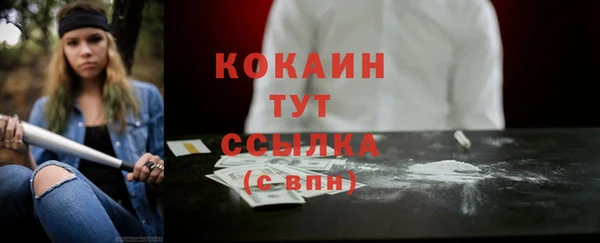 сатива Няндома