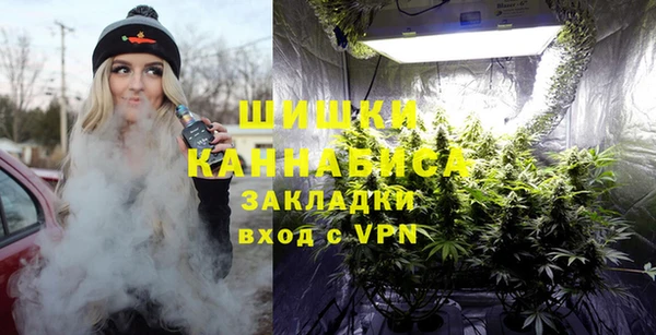 сатива Няндома