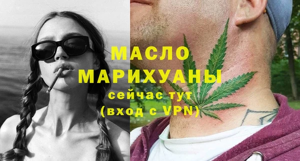 сатива Няндома