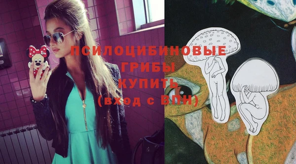 винт Нягань