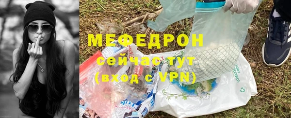 сатива Няндома