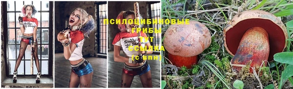 сатива Няндома