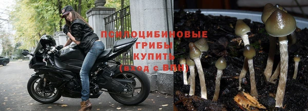 винт Нягань