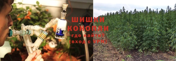 винт Нягань