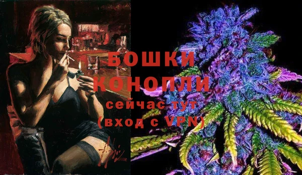 винт Нягань