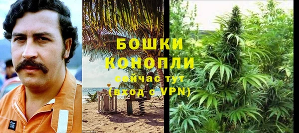 сатива Няндома
